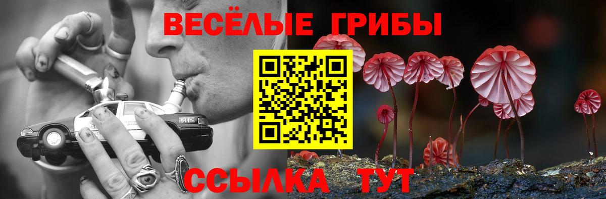 Псилоцибиновые грибы MAGIC MUSHROOMS  Вход с VPN  Нефтеюганск 
